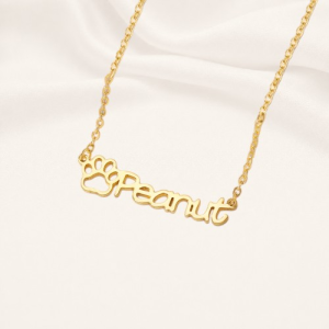 Close-up of a personalized gold dog name necklace with paw